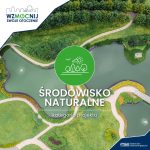 Ożywimy teren przy stawie w Woli!